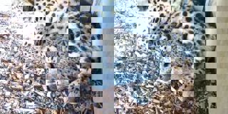 Whatsapp Image 2025 05 01 At 10.40.08 (2)