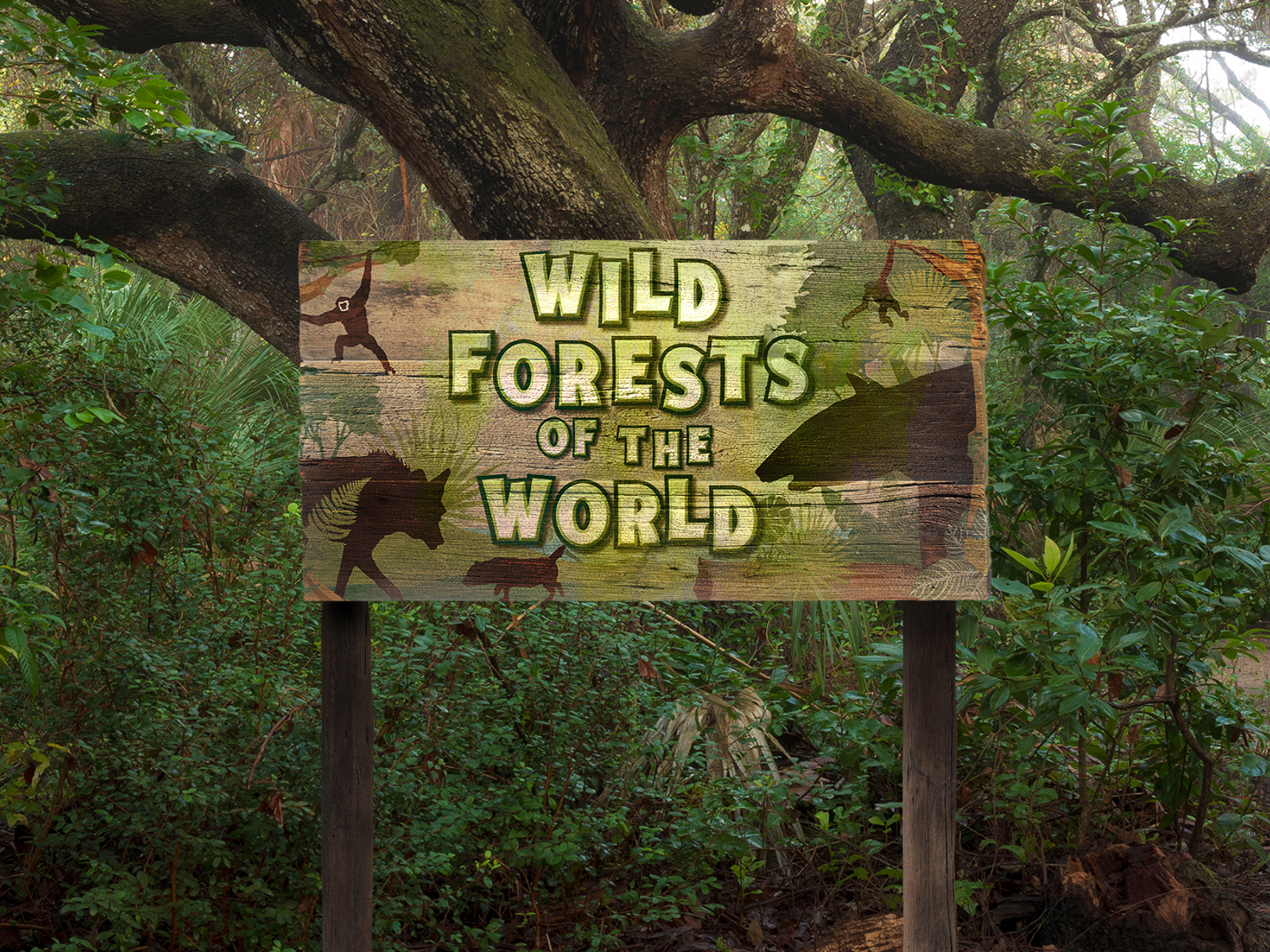 Wild Forests Of The World Carosel