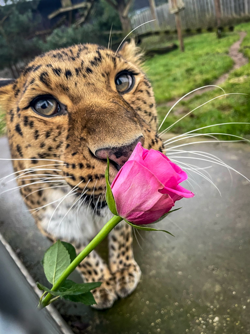 B68e1b76 6E8e 4C67 B6cf 5Cd78b3d15da